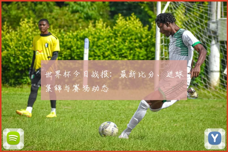 世界杯今日战报：最新比分、进球集锦与赛场动态