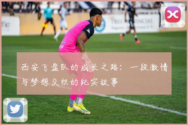西安飞盘队的成长之路：一段激情与梦想交织的纪实故事