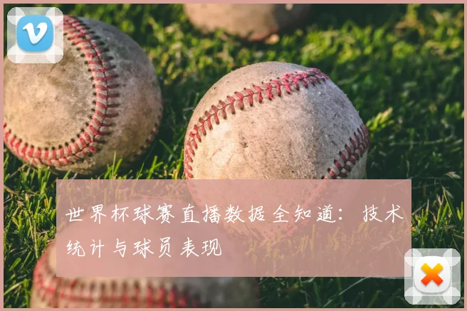 世界杯球赛直播数据全知道：技术统计与球员表现