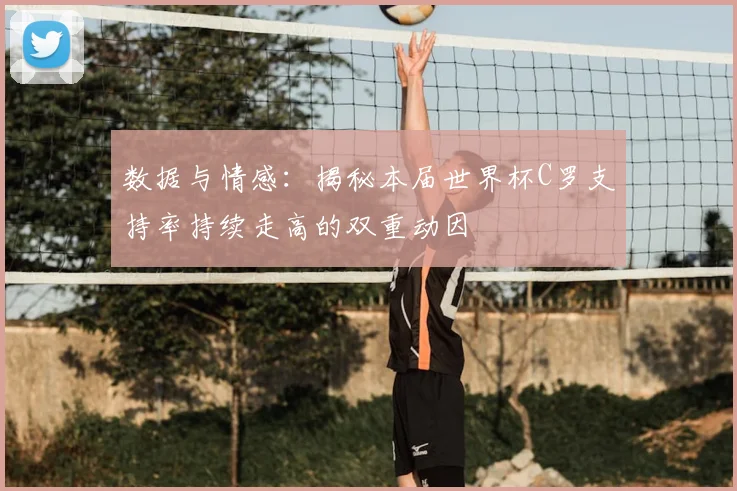 数据与情感：揭秘本届世界杯C罗支持率持续走高的双重动因