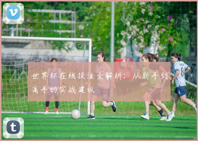 世界杯在线投注全解析:从新手到高手的实战建议