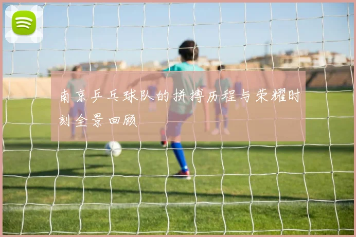 南京乒乓球队的拼搏历程与荣耀时刻全景回顾