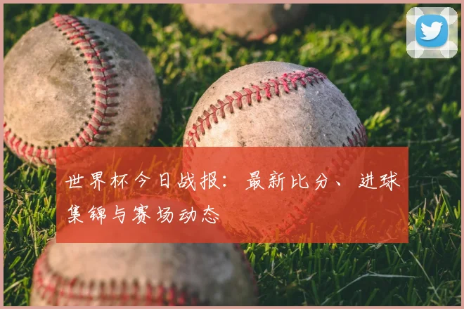 世界杯今日战报：最新比分、进球集锦与赛场动态