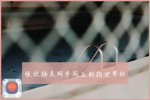 张欣杨美网夺冠后剑指世界杯