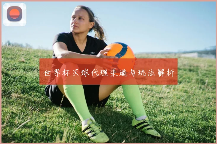 世界杯买球代理渠道与玩法解析