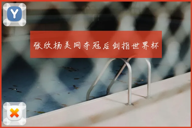 张欣杨美网夺冠后剑指世界杯