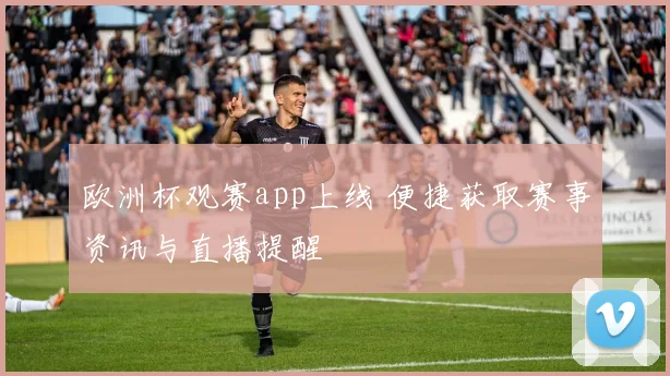 欧洲杯观赛app上线 便捷获取赛事资讯与直播提醒