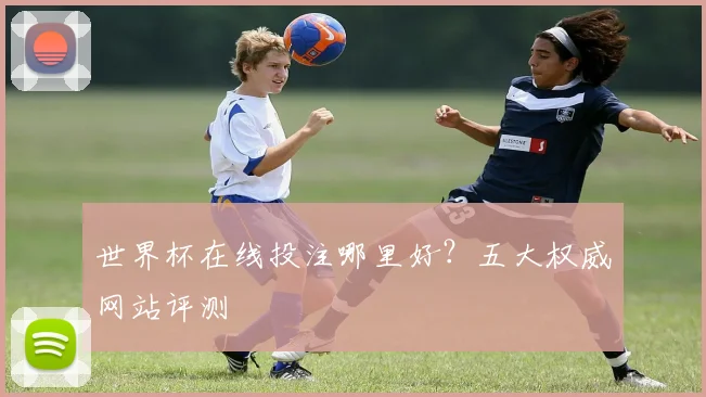 世界杯在线投注哪里好?五大权威网站评测