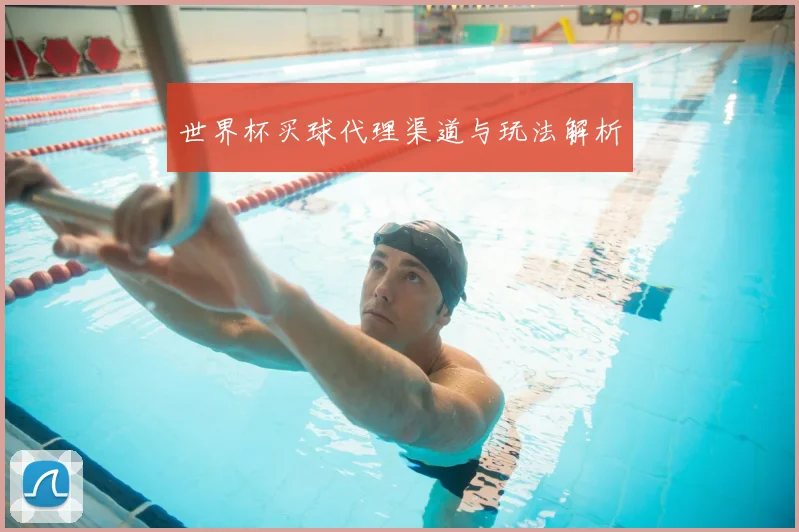 世界杯买球代理渠道与玩法解析