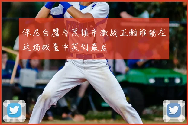 保尼白鹰与黑镇市激战正酣谁能在这场较量中笑到最后