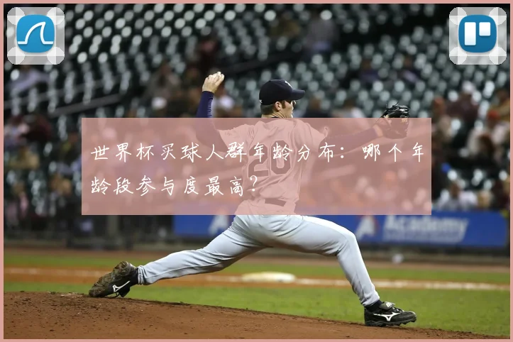 世界杯买球人群年龄分布：哪个年龄段参与度最高？