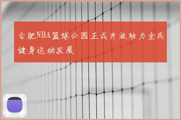 合肥NBA篮球公园正式开放助力全民健身运动发展